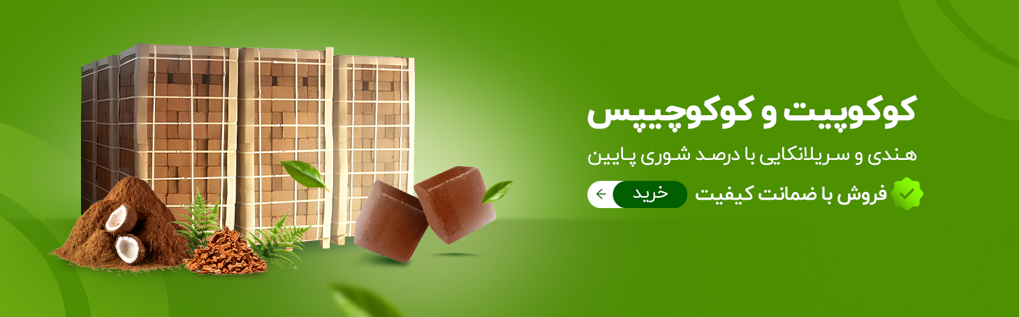 کوکوپیت