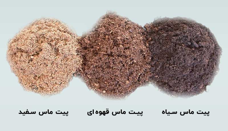 انواع پیت ماس در گرین آذین