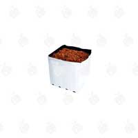 گروبگ مکعبی مخصوص هیدروپونیک